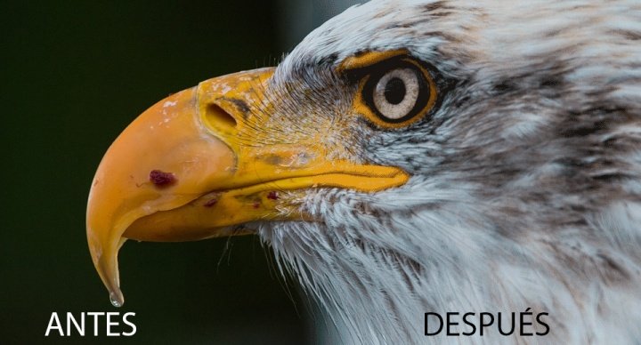 Cómo comprimir tus fotografías sin perder calidad