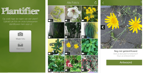 Imagen - 7 apps para identificar plantas