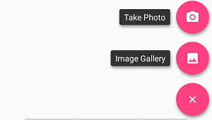 Imagen - Cómo buscar por imagen en Android