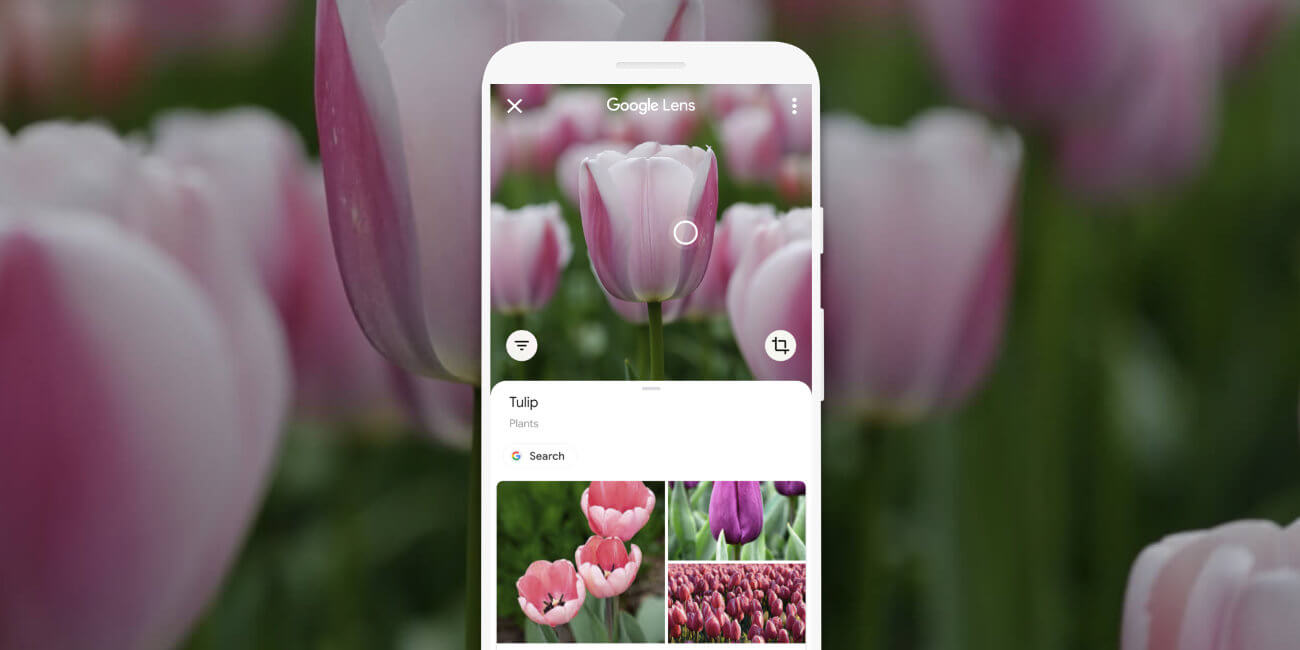 Todas las funciones de Google Lens