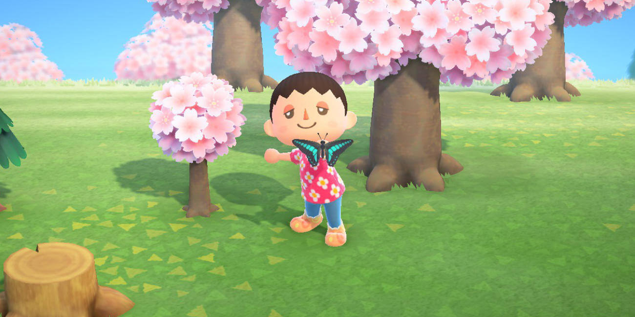 Dónde encontrar los bichos de Animal Crossing: New Horizons