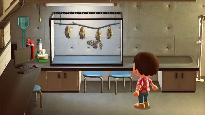 Imagen - Bichos en Animal Crossing: New Horizons