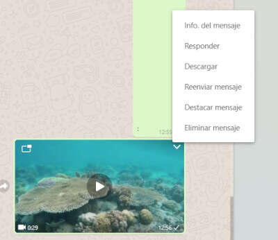 Imagen - Cómo descargar vídeos de WhatsApp Web