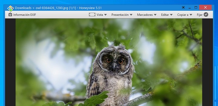 Imagen - 6 mejores aplicaciones gratis para ver fotos en Windows 10
