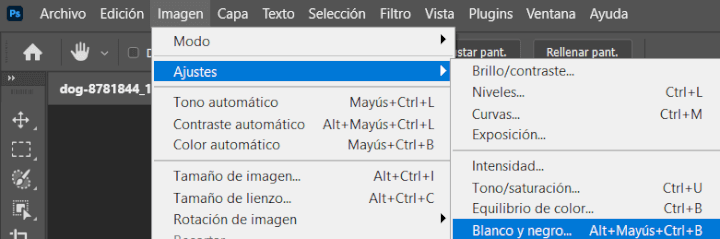 Imagen - Cómo cambiar a blanco y negro una foto en Photoshop