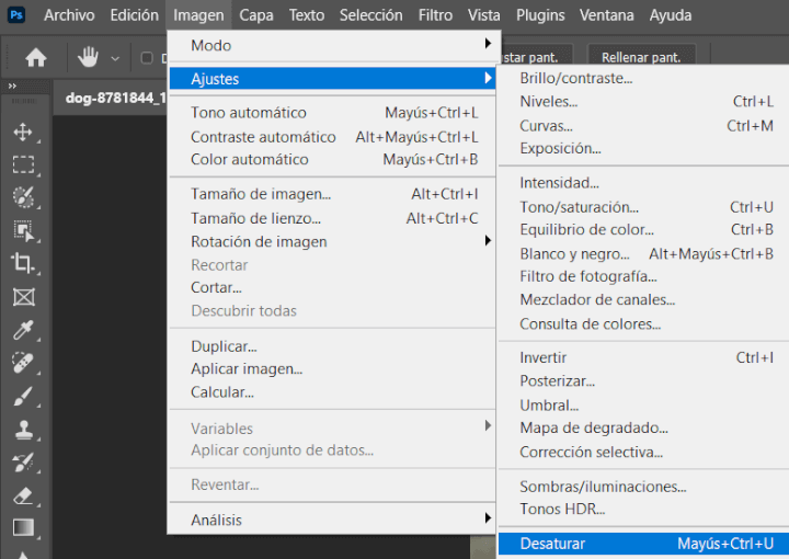 Imagen - Cómo cambiar a blanco y negro una foto en Photoshop