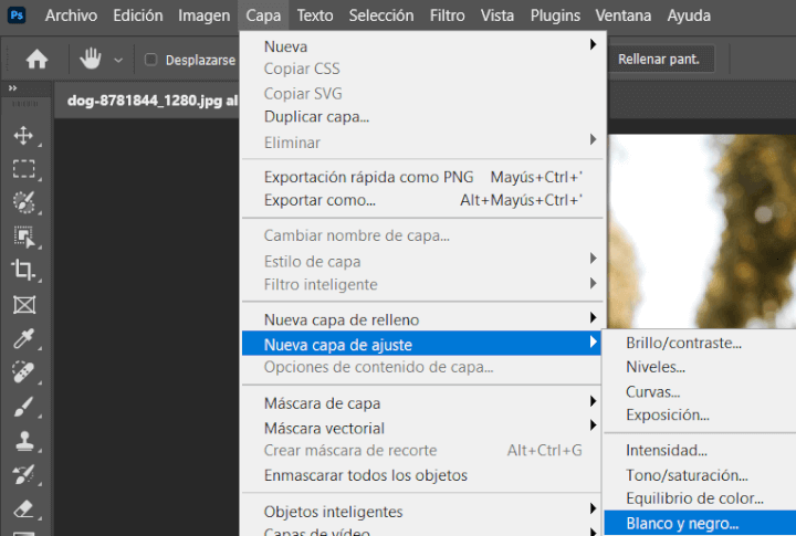 Imagen - Cómo cambiar a blanco y negro una foto en Photoshop