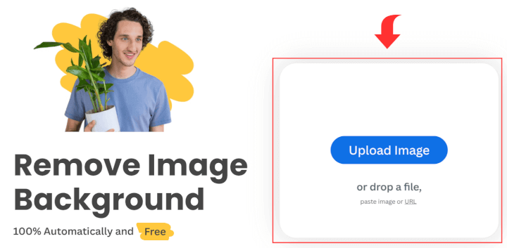 Imagen - Remove.bg: elimina el fondo de una imagen fácilmente