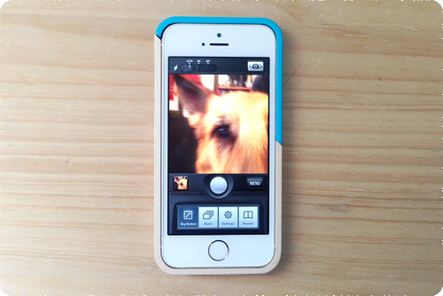 Imagen - Cómo enseñar a tu perro a tomar una selfie