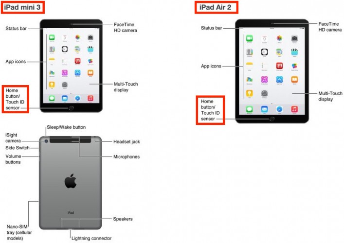 Imagen - iPad Air 2 y iPad mini 3 son confirmados por error