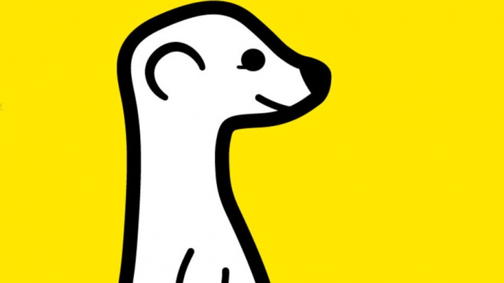 ¿Qué es Meerkat? La nueva app de moda