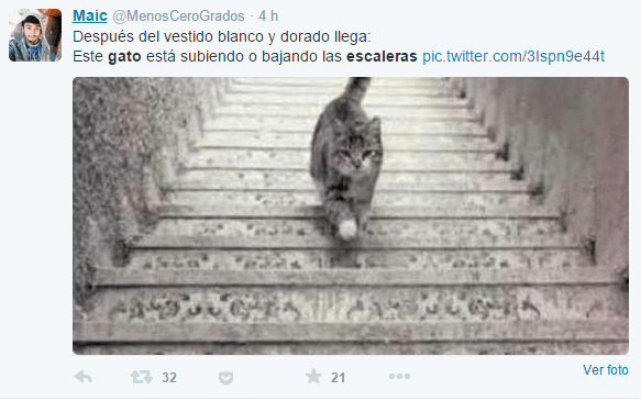 Imagen - El nuevo viral tras #TheDress: ¿El gato sube o baja las escaleras?