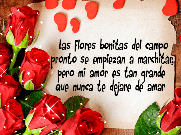 30 felicitaciones de San Valentín para WhatsApp