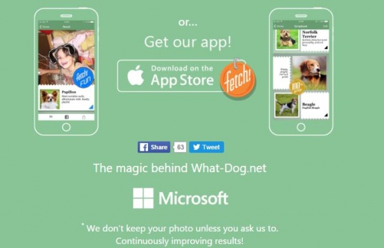 Imagen - What-dog.net, la app y web de Microsoft para identificar a tu perro