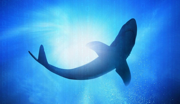Wireshark alcanza la versión 2.0.2