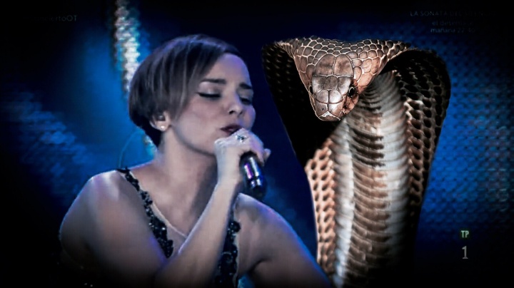 Los mejores memes de la cobra de Bisbal a Chenoa