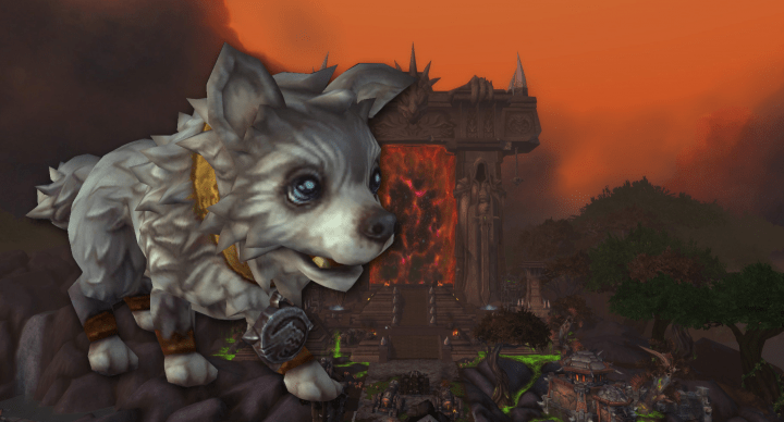 Cuidado con la estafa del regalo de una mascota en World of Warcraft