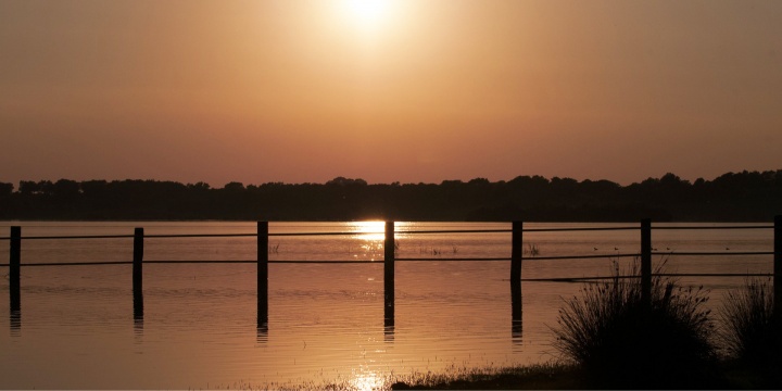 Google añade información y donaciones para el incendio de Doñana