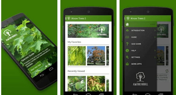 Imagen - 7 apps para identificar plantas