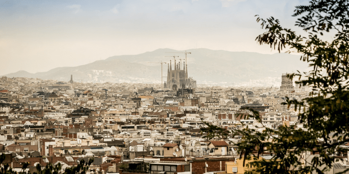 No compartas imágenes de Barcelona en redes sociales: comparte gatos