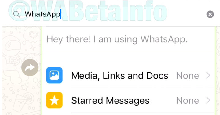 Imagen - WhatsApp mejorará la función de búsqueda del chat