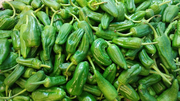 El pimiento de Padrón podría tener su propio emoji