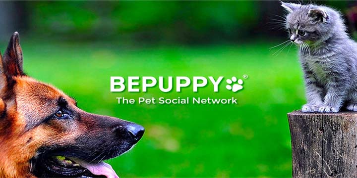 bepuppy-720x360