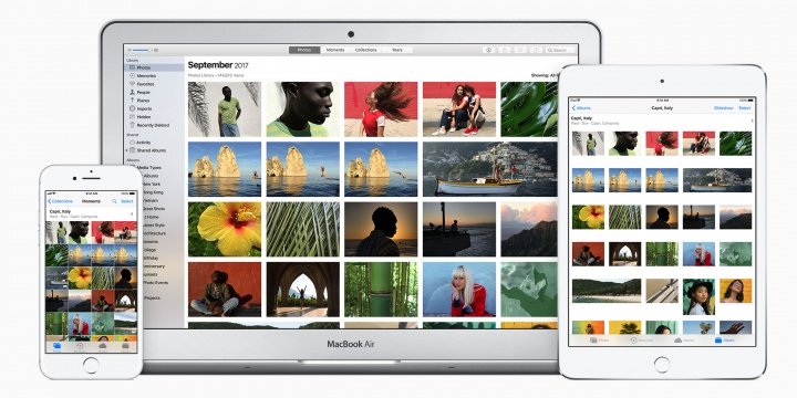 Imagen - Google Fotos vs Apple Fotos ¿en qué se diferencian?