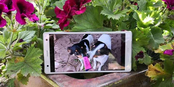Review: Sony Xperia XZ2, un móvil equilibrado que destaca por su pantalla y su cámara