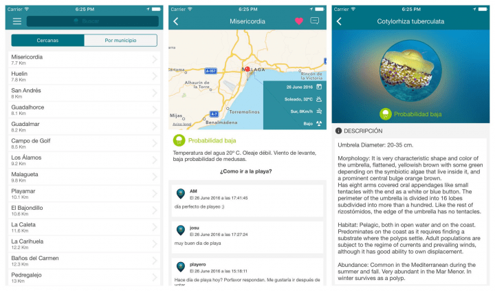 Imagen - Cómo saber si hay medusas en la playa desde tu smartphone