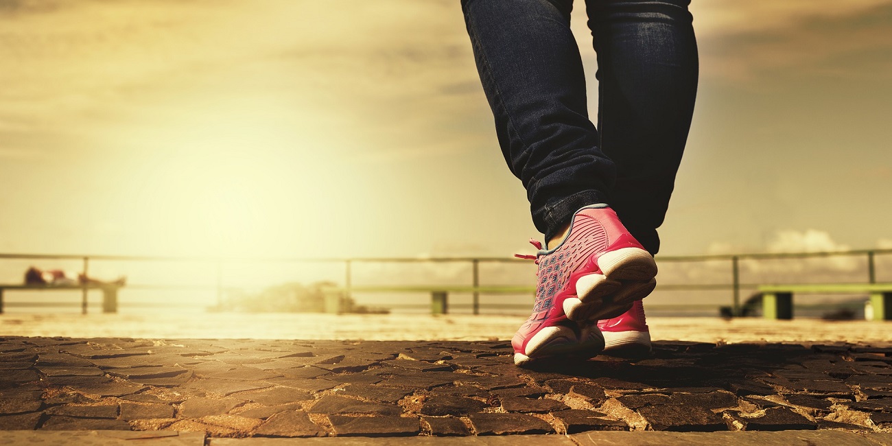 Versa Lite, Inspire, Inspire HR y Ace 2 son los nuevos wearables de Fitbit