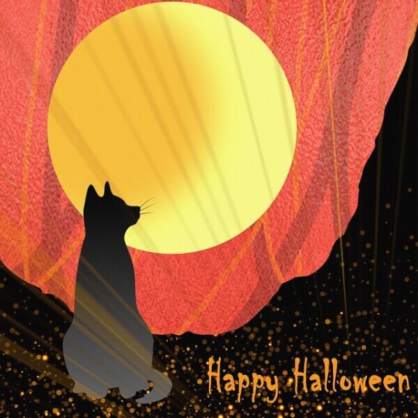 Imagen - 12 felicitaciones de Halloween para enviar por WhatsApp