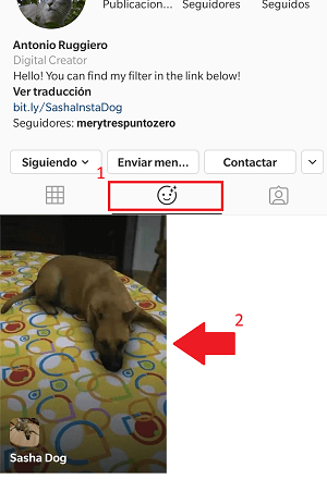 Imagen - Sasha Dog, el filtro que añade un perro realista en las Instagram Stories