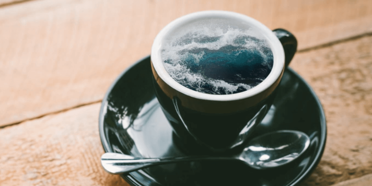 Photoshop y Premiere Elements 2020: editores de fotos y vídeo con inteligencia artificial