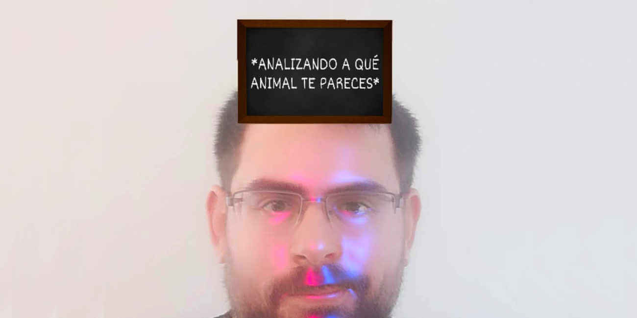 Cómo conseguir el filtro de "a qué animal te pareces" en Instagram