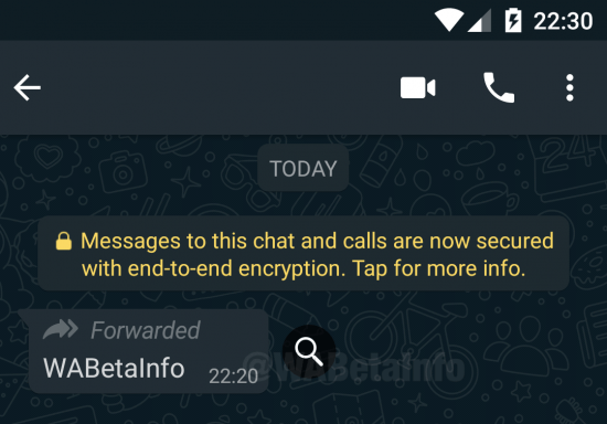 Imagen - WhatsApp te permitirá comprobar si el mensaje es un bulo