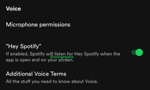 Imagen - &quot;Hey Spotify&quot;, el asistente de voz en Spotify