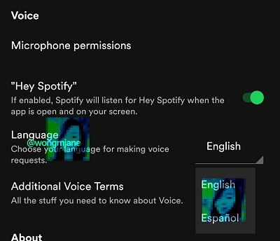 Imagen - Spotify tendrá asistente de voz en español