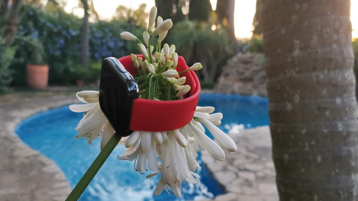 Review: Realme Watch, un reloj de "gama alta" por 50 euros
