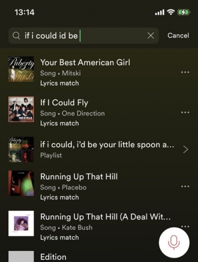 Imagen - Spotify ya permite buscar canciones por su letra