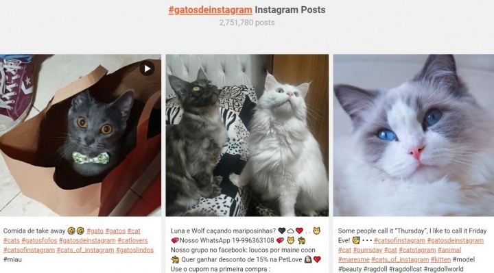 Imagen - Picuki: explora perfiles de Instagram sin hacer login