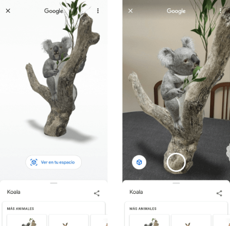Imagen - Google añade nuevos animales 3D: quokkas, koalas y canguros