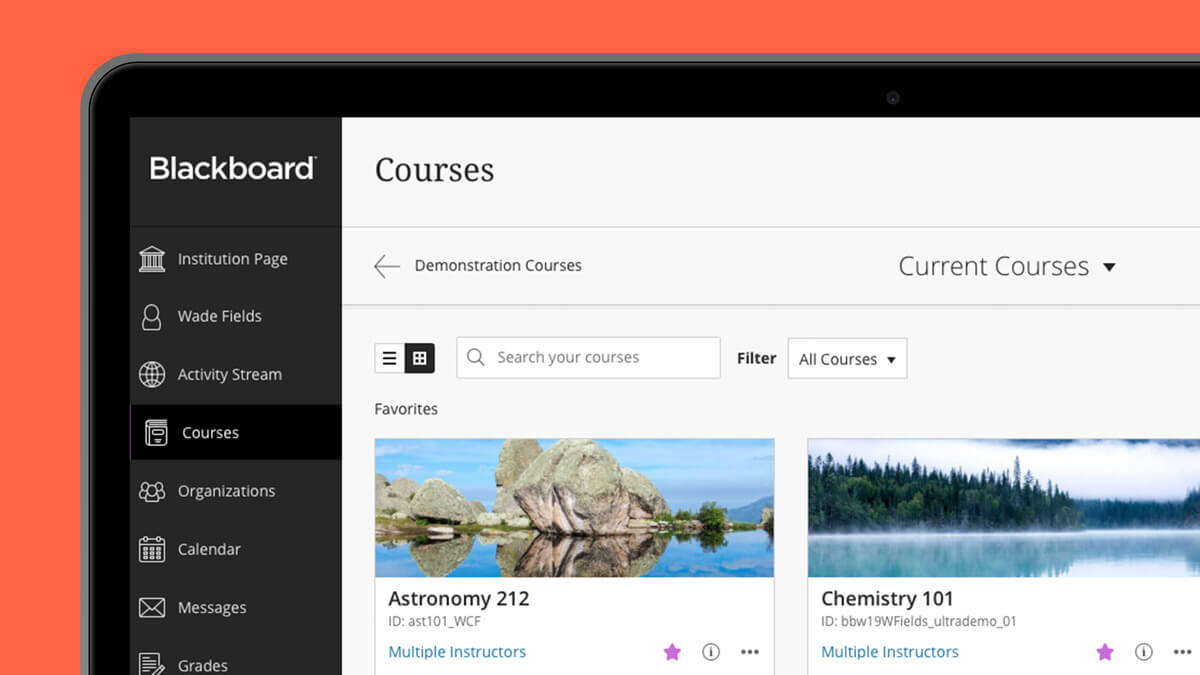Blackboard, qué es y cómo funciona