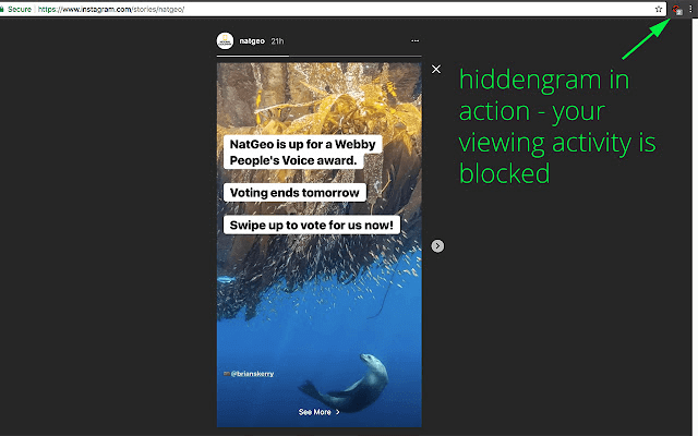 Imagen - 5 alternativas a Storieswatcher para ver Instagram Stories