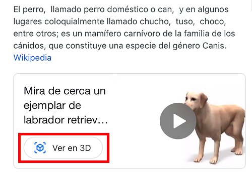 Imagen - Cómo ver un perro 3D en casa con Google