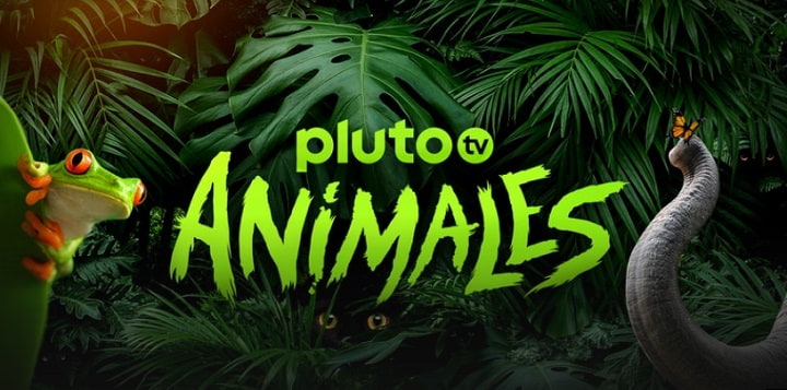 Imagen - 10 canales de naturaleza en Pluto TV