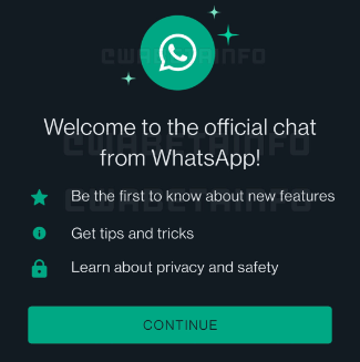 Imagen - WhatsApp te avisará de sus novedades mediante un chat