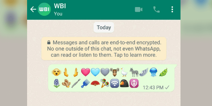 Imagen - WhatsApp beta 2.23.5.13 para Android: descarga y novedades