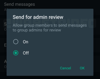 Imagen - WhatsApp te permitirá reportar mensajes al admin del grupo