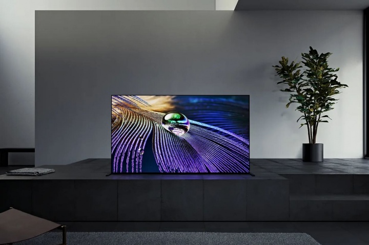 Imagen - 6 mejores televisores OLED que puedes comprar en 2023